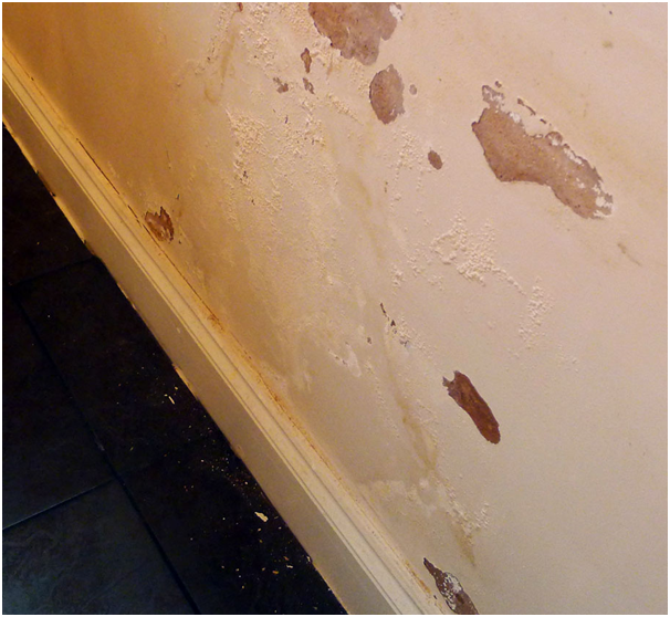 How to apply damp proof paint